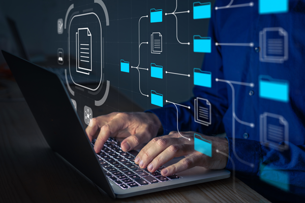 Key Processes